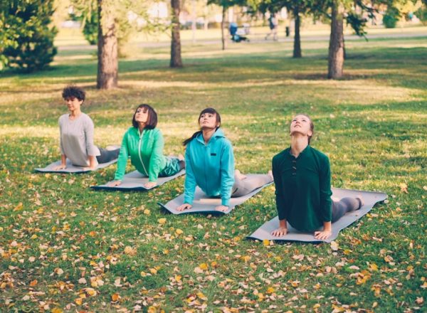 Attractive girls in trendy sportswear are doing succession of yoga exercises on mats in park on warm autumn day. Wellness, active lifestyle and relaxing young people concept.